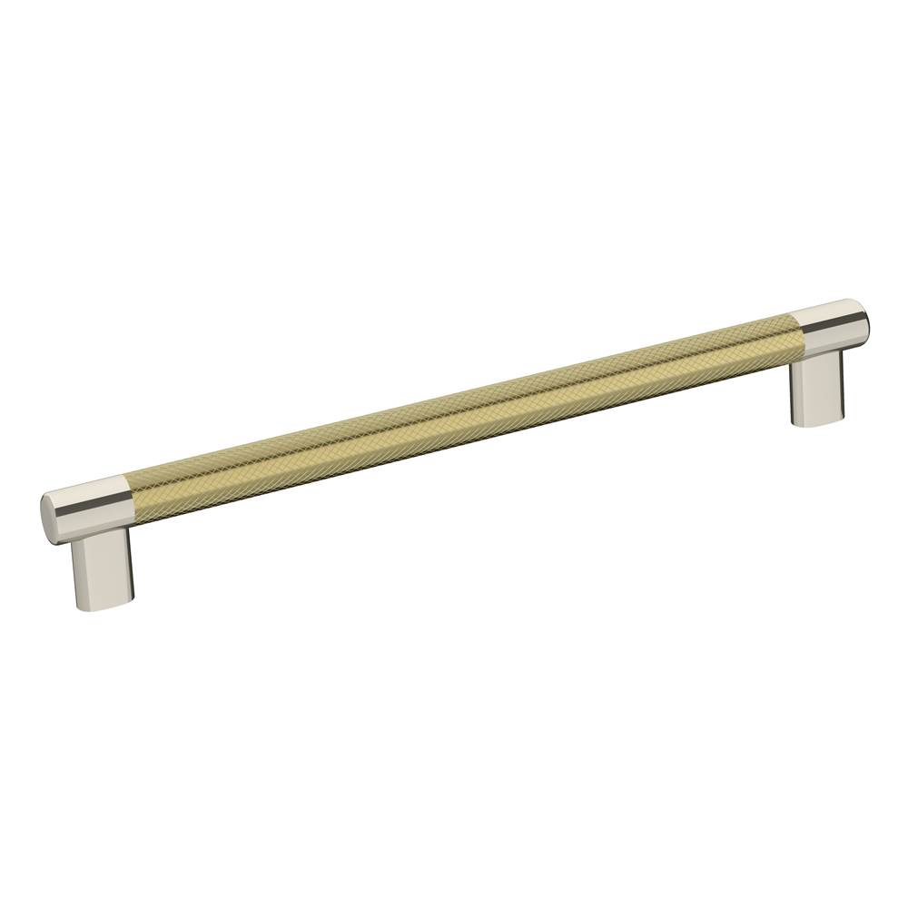 Amerock Esquire 10-1/16 in (256 mm) Center-to-Center Polished Nickel/Golden Champagne Cabinet Pull