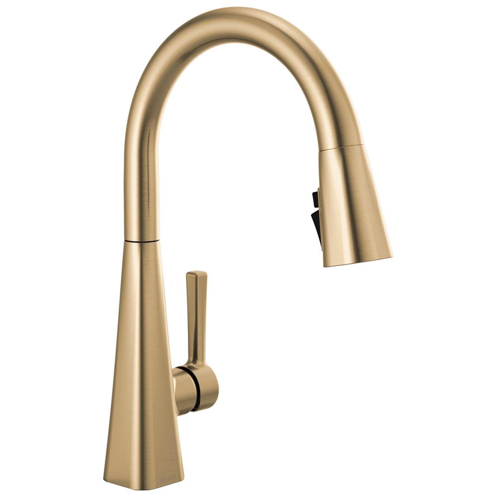 Delta Faucet Lenta™ Single-Handle Pull-Down Kitchen Faucet