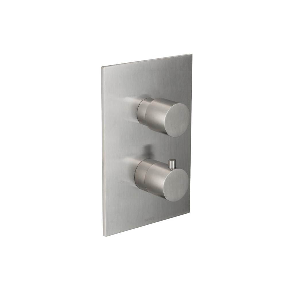 Isenberg 3/4 '' Thermostatic Valve & Trim - With 2-Way Diverter - 2 Output