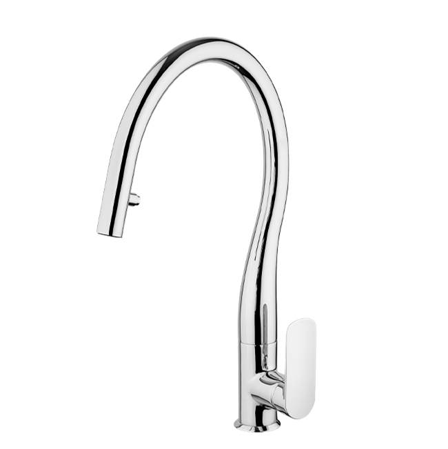 Latoscana Single Handle Pull-Down Spray Kitchen Faucet in Chrome
