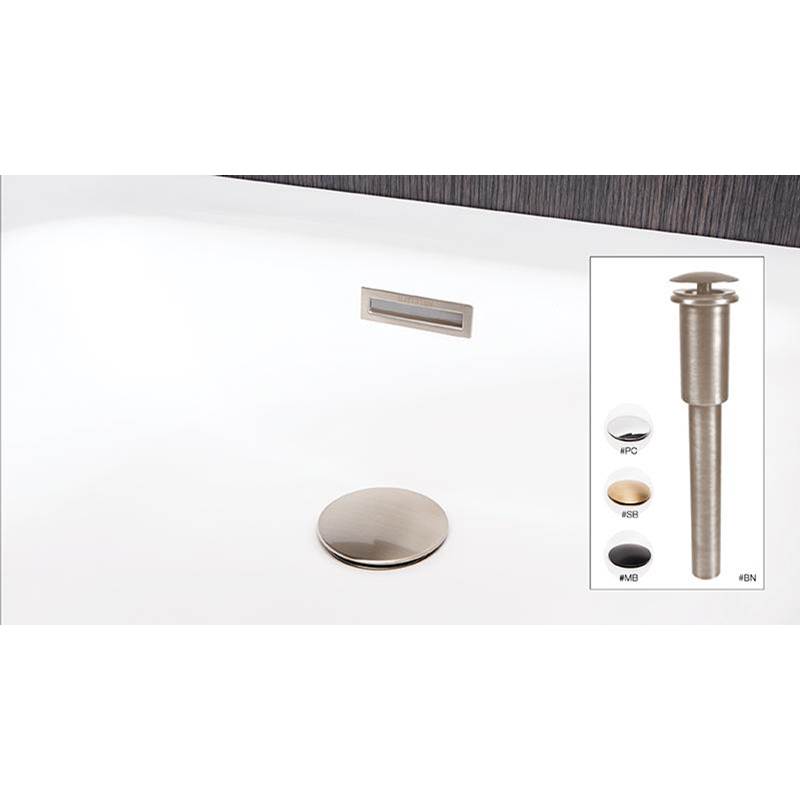 WETSTYLE Dome Style Lav Drain Without O/F - Pc - Satin Brass